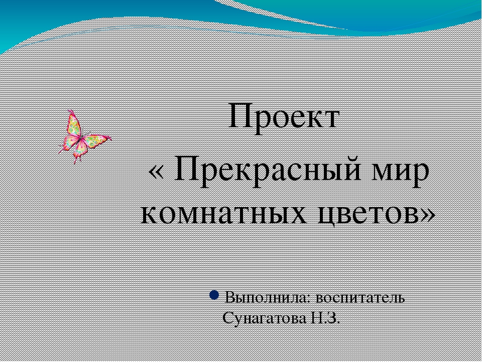 Презентация по окружающему миру " Прекрасный мир комнатных растений"