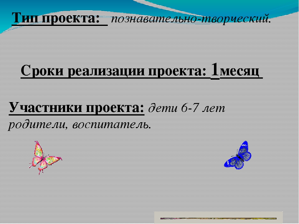 Презентация по окружающему миру " Прекрасный мир комнатных растений"
