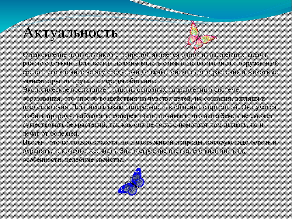 Презентация по окружающему миру " Прекрасный мир комнатных растений"