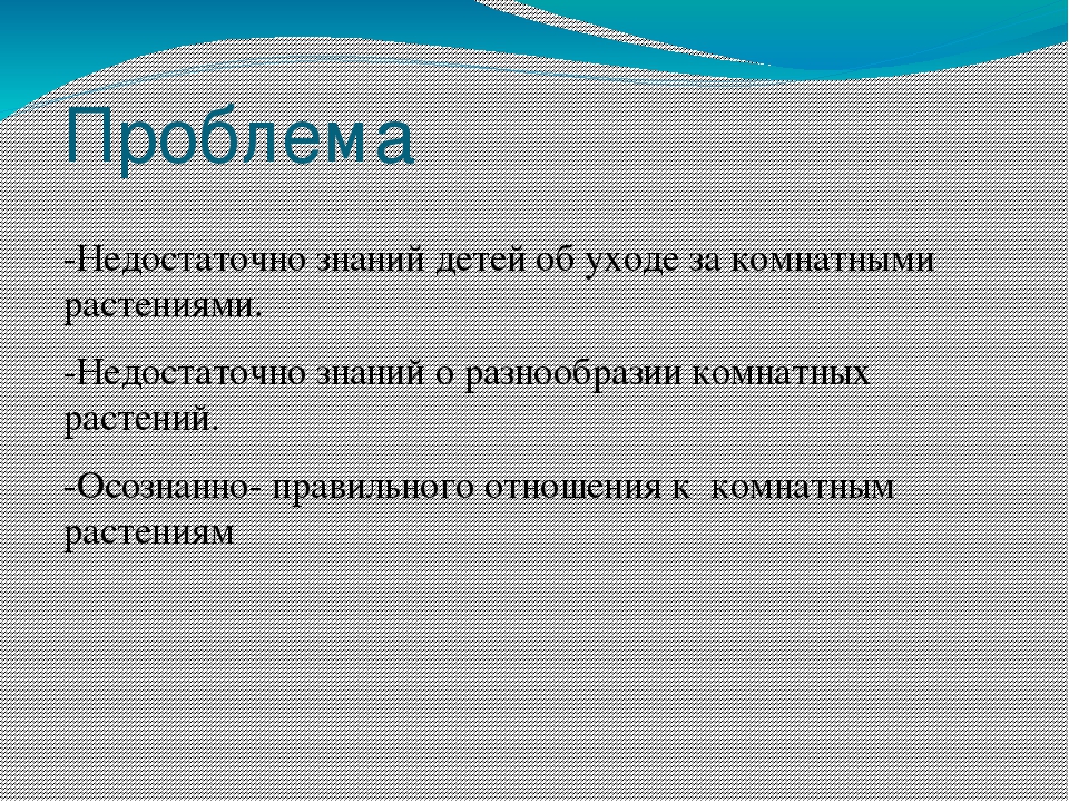 Презентация по окружающему миру " Прекрасный мир комнатных растений"