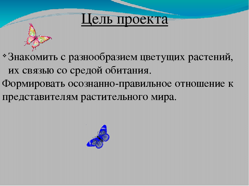 Презентация по окружающему миру " Прекрасный мир комнатных растений"