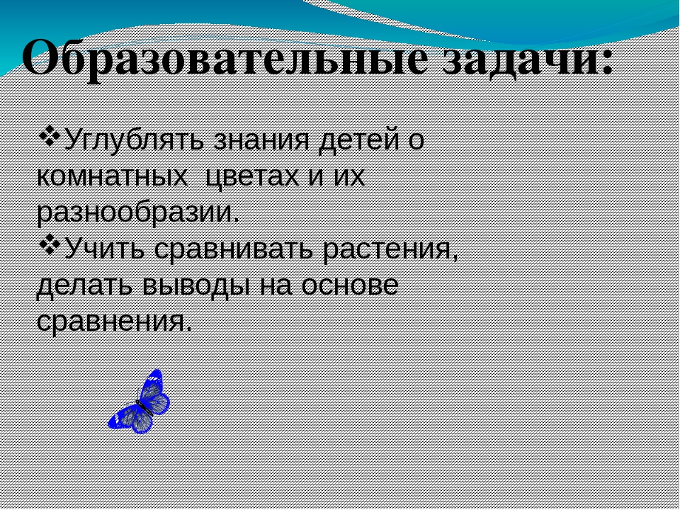 Презентация по окружающему миру " Прекрасный мир комнатных растений"