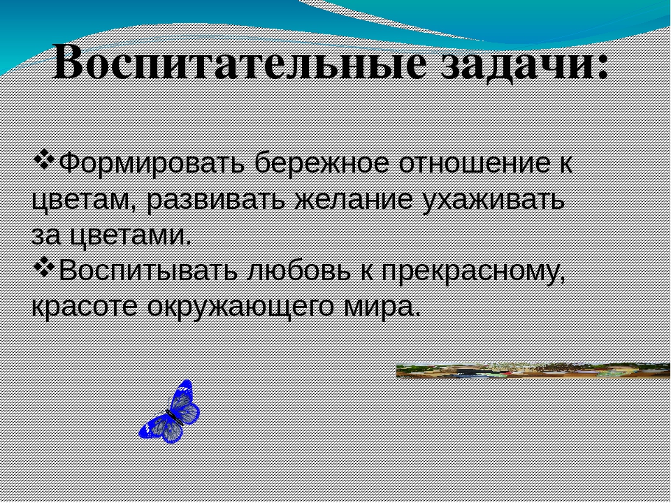 Презентация по окружающему миру " Прекрасный мир комнатных растений"