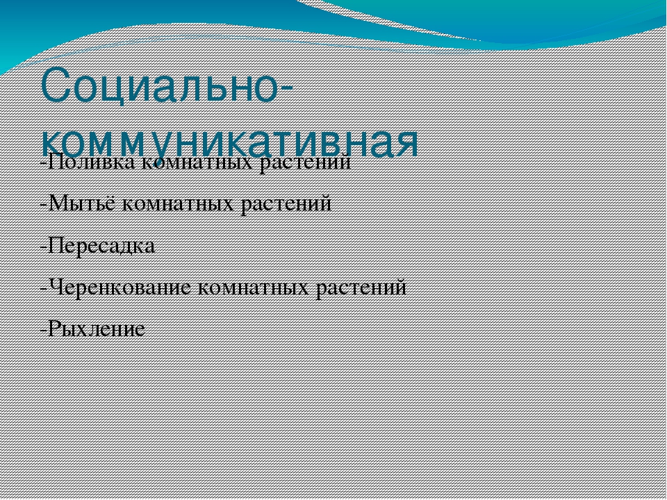 Презентация по окружающему миру " Прекрасный мир комнатных растений"