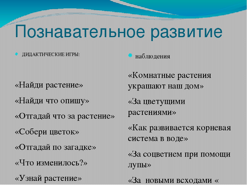 Презентация по окружающему миру " Прекрасный мир комнатных растений"