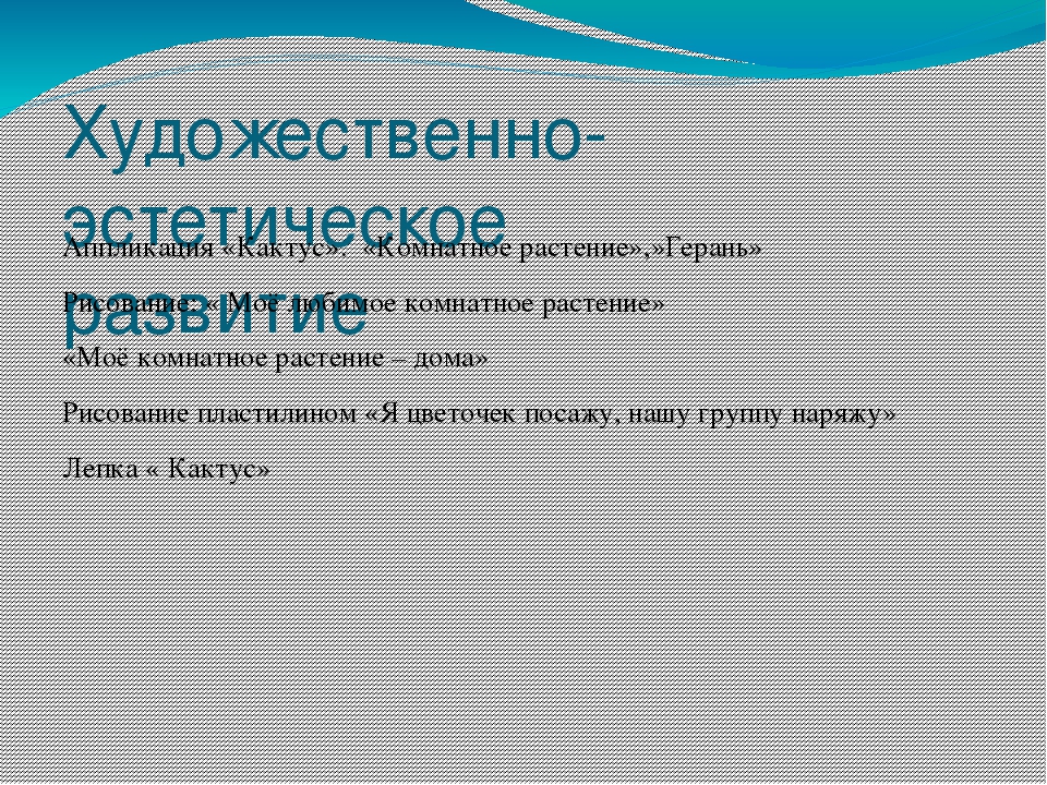 Презентация по окружающему миру " Прекрасный мир комнатных растений"