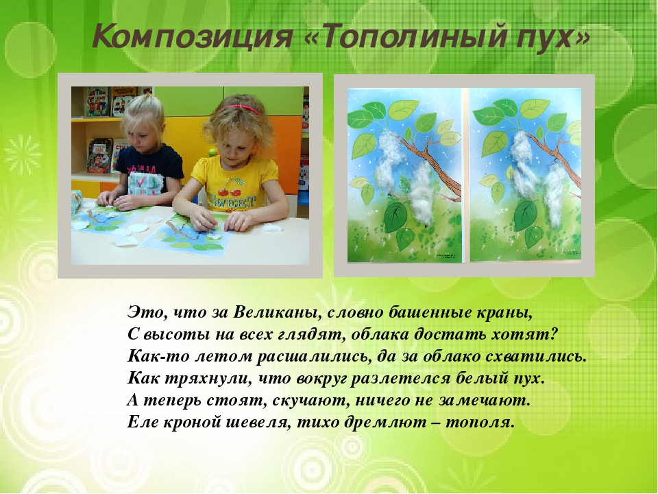 Презентация "Лиственные и хвойные деревья".
