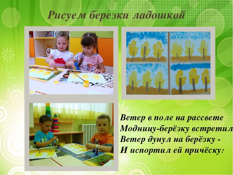Презентация "Лиственные и хвойные деревья".