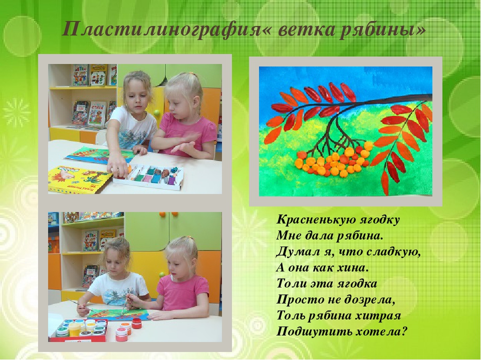 Презентация "Лиственные и хвойные деревья".