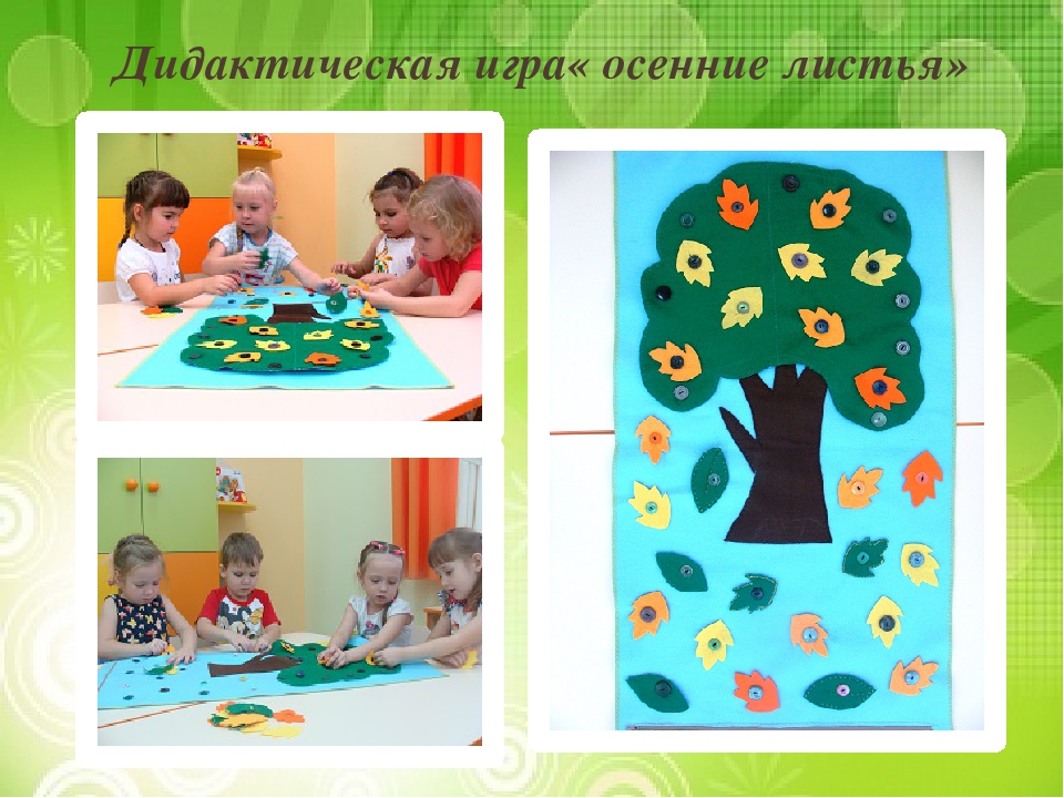 Презентация "Лиственные и хвойные деревья".