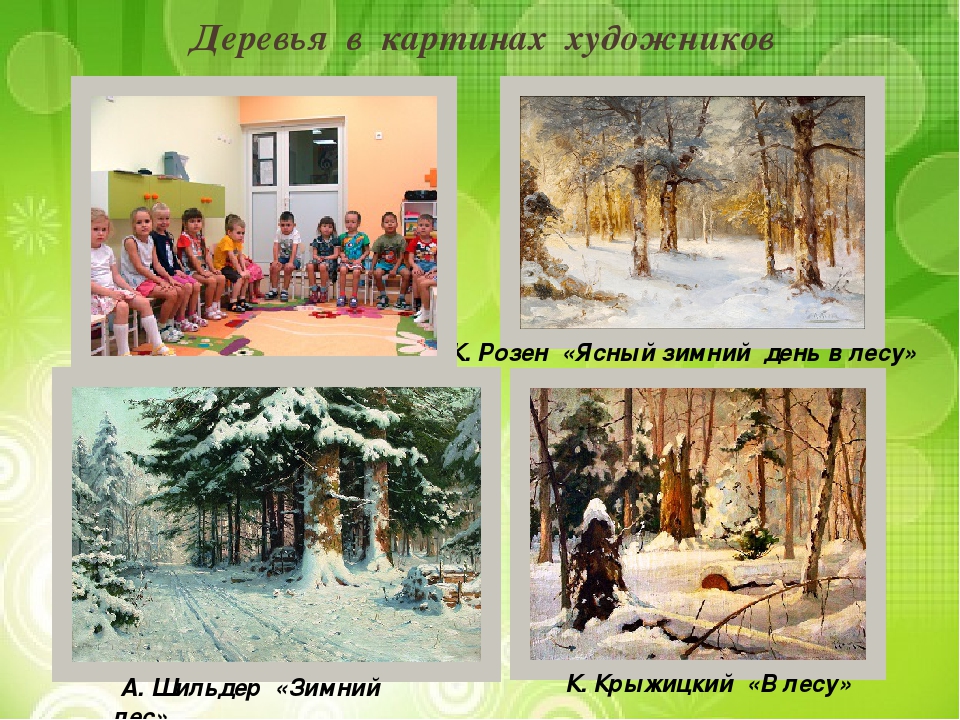Презентация "Лиственные и хвойные деревья".