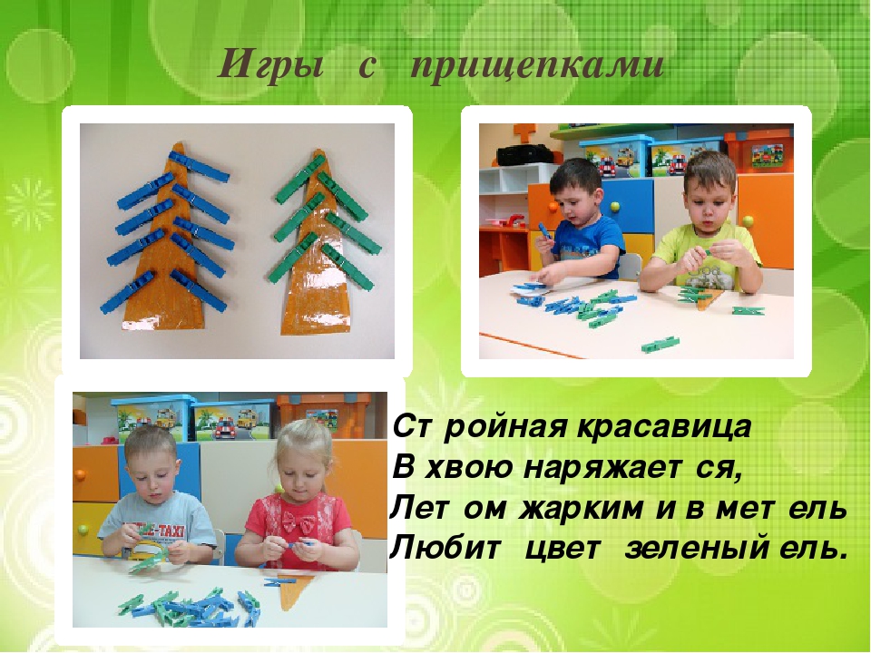Презентация "Лиственные и хвойные деревья".