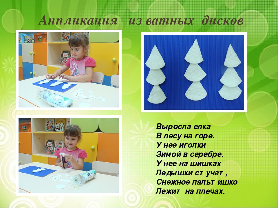 Презентация "Лиственные и хвойные деревья".