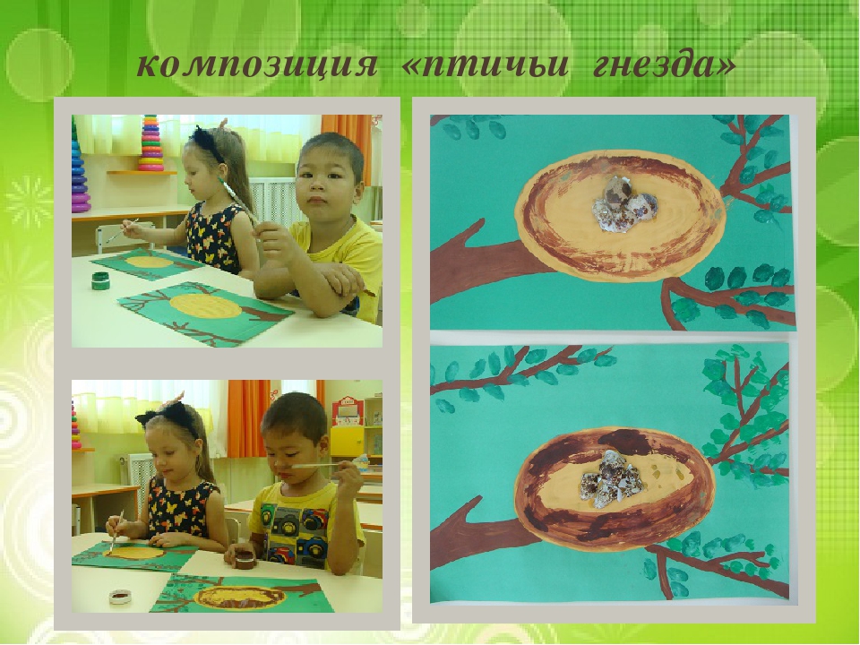 Презентация "Лиственные и хвойные деревья".