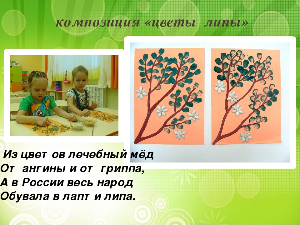 Презентация "Лиственные и хвойные деревья".