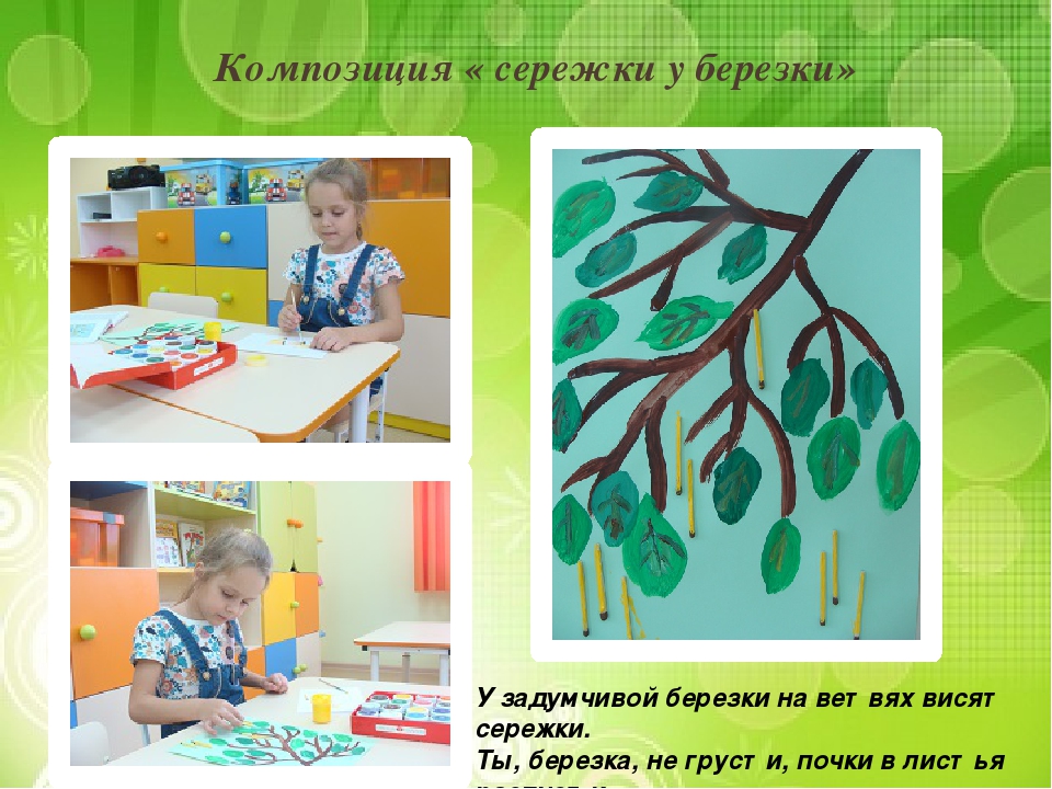Презентация "Лиственные и хвойные деревья".
