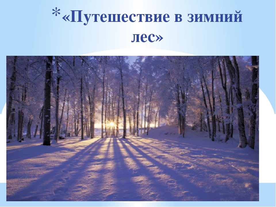 Презентация «Путешествие в зимний лес»