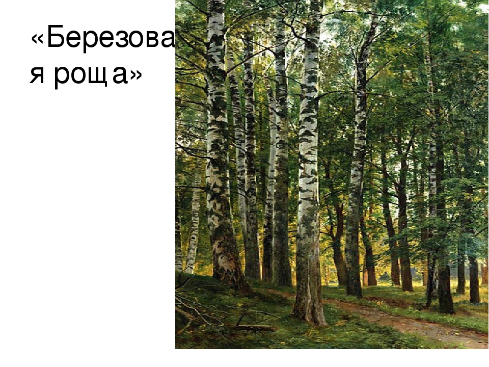 Презентация "Путешествие в лес".