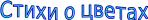 Shape2
