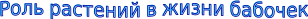 Shape3