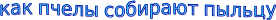 Shape4