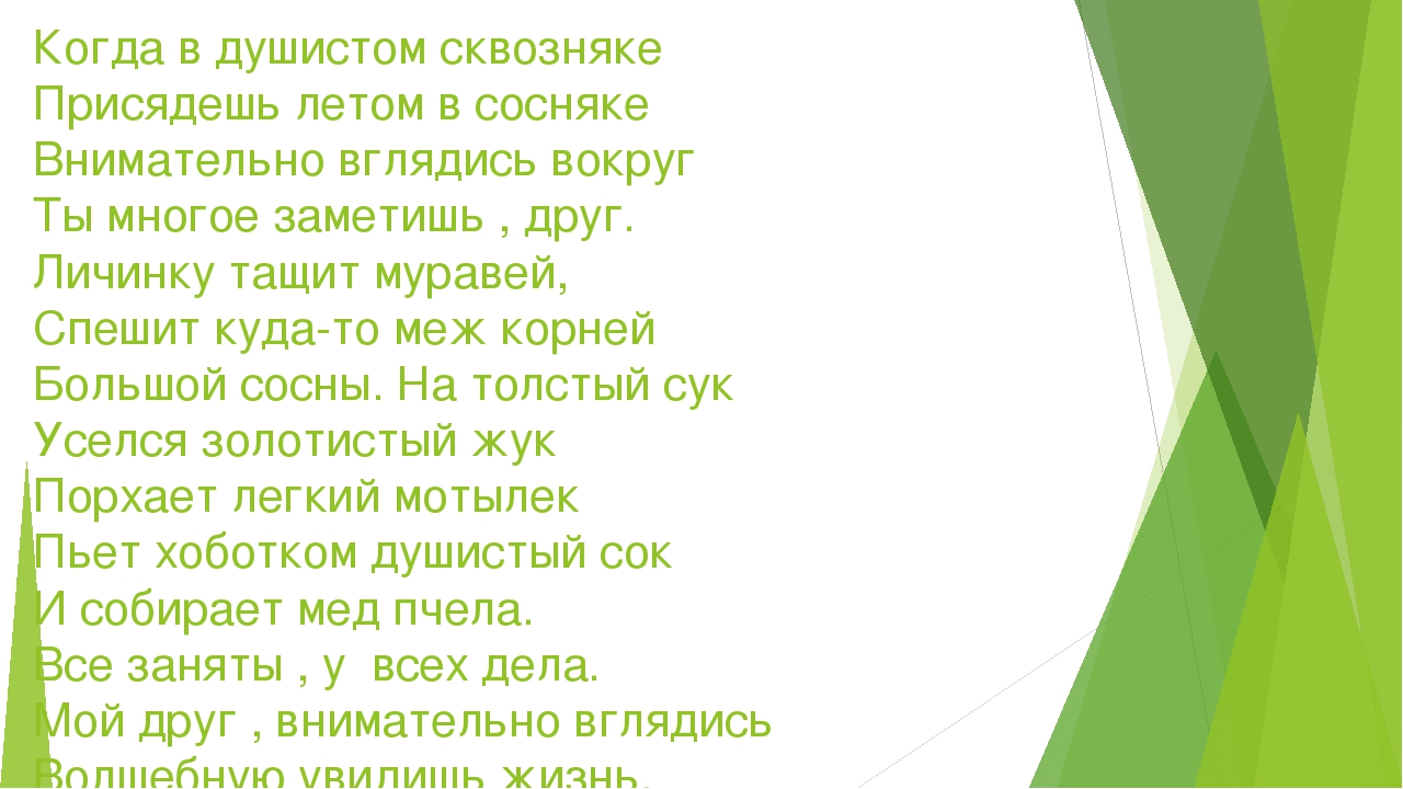 Презентация на тему:"Мир насекомых"