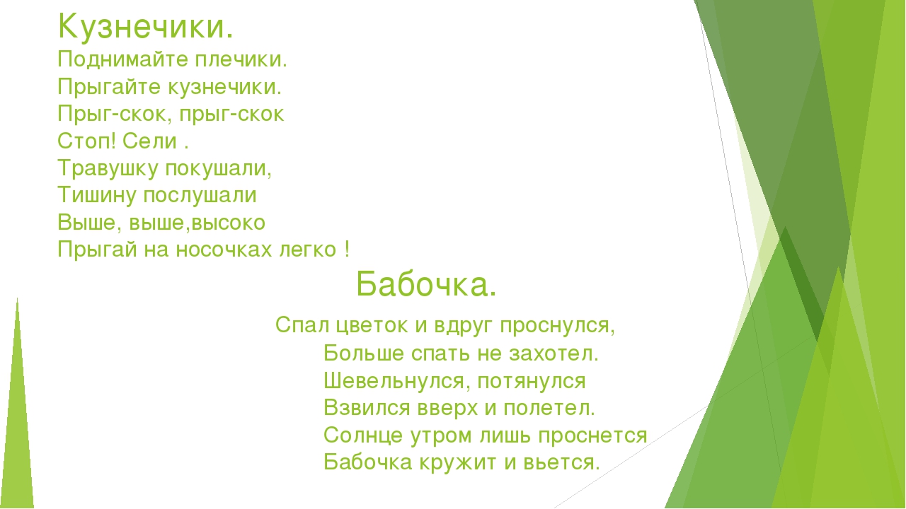 Презентация на тему:"Мир насекомых"