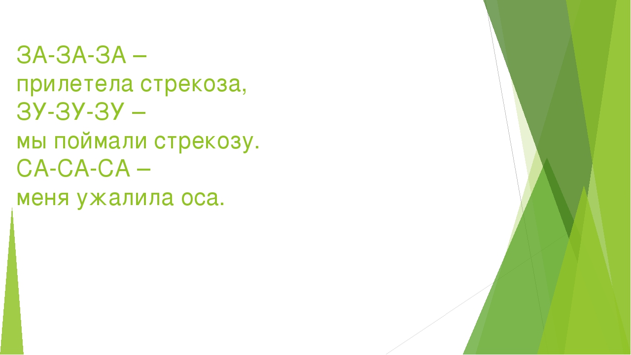 Презентация на тему:"Мир насекомых"