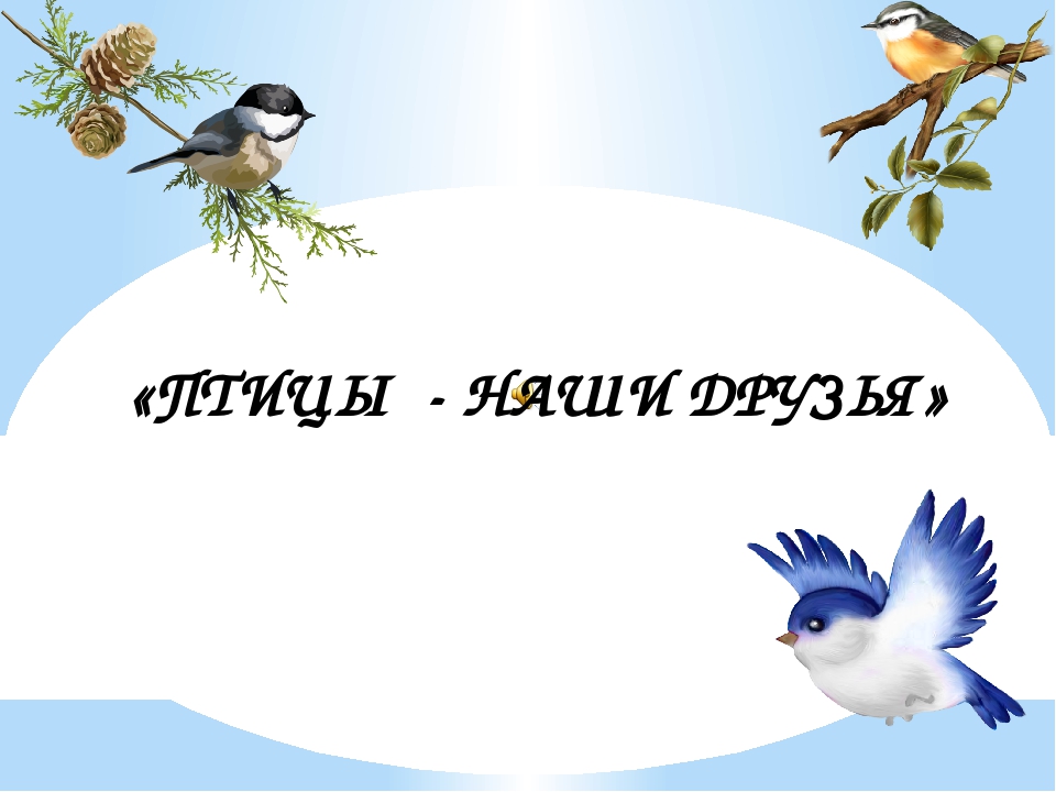 Презентация "Птицы - наши друзья"