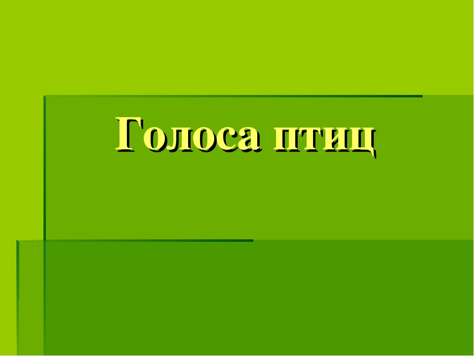 Презентация по окружающему миру "Голоса птиц" для старшей группы