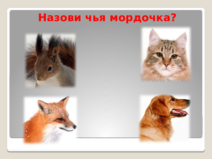 Звук Ш, Буква Ш. Занятие в детском саду
