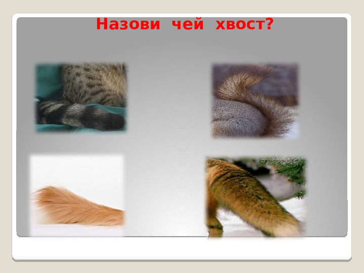 Звук Ш, Буква Ш. Занятие в детском саду