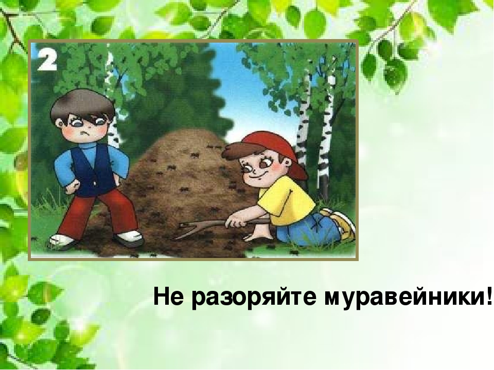 Презентация для детей старшего дошкольного возраста "Правила поведения в лесу"