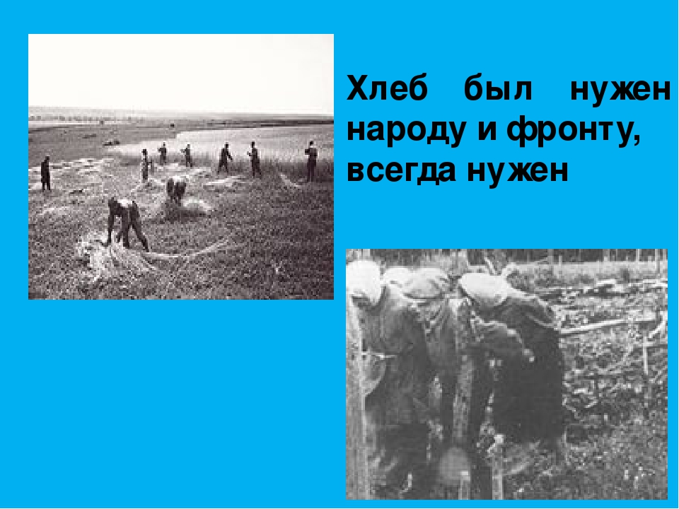 Презентация к занятию "Хлеб Великой Отечественной войны"