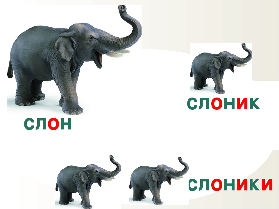 Окончание слова слонов. Слон звуковая схема. Схема слова слон. Карточки Домана слон. Слон схема 1 класс.