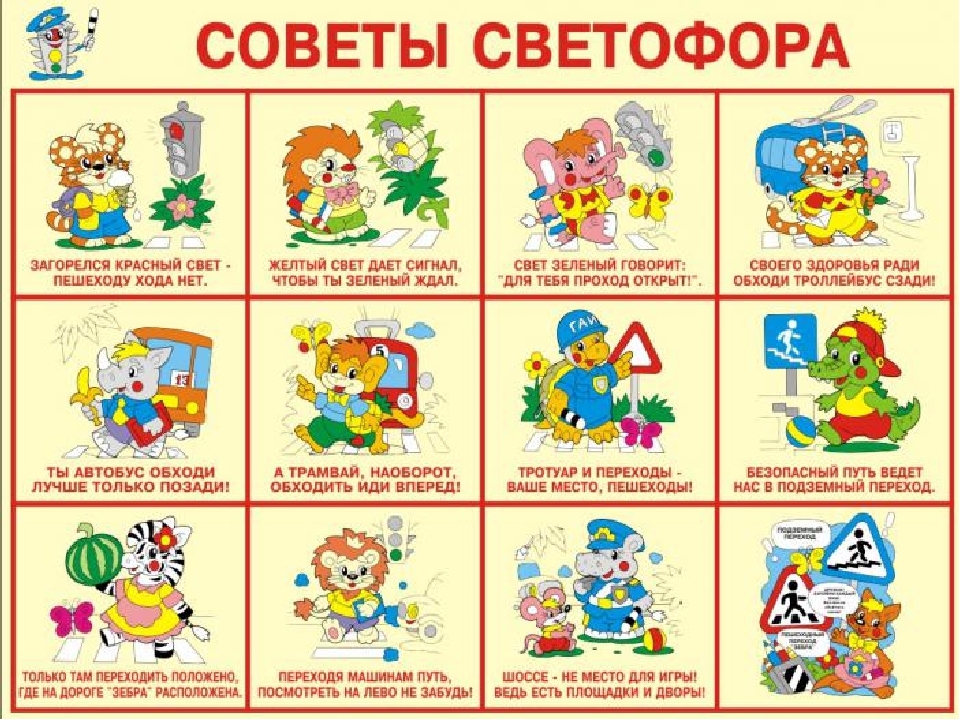 Презентация по окружающему миру