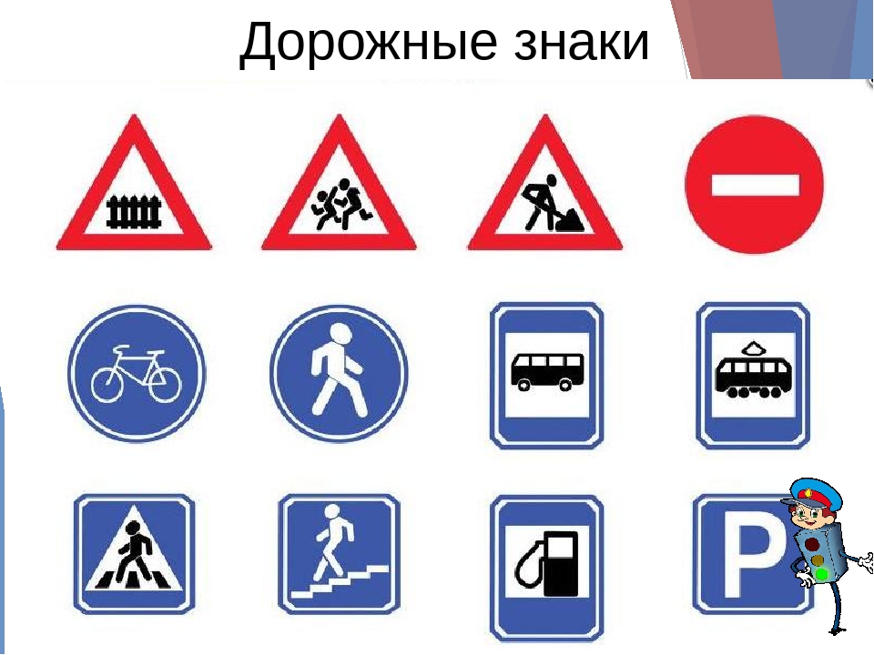 Презентация по окружающему миру