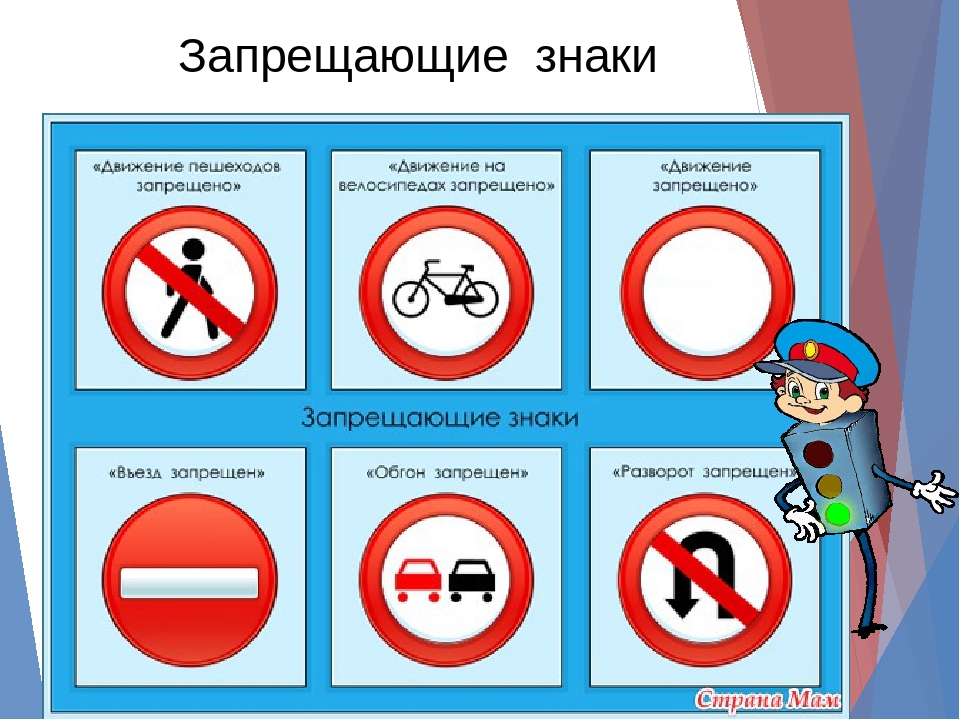 Презентация по окружающему миру