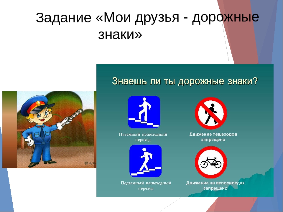 Презентация по окружающему миру