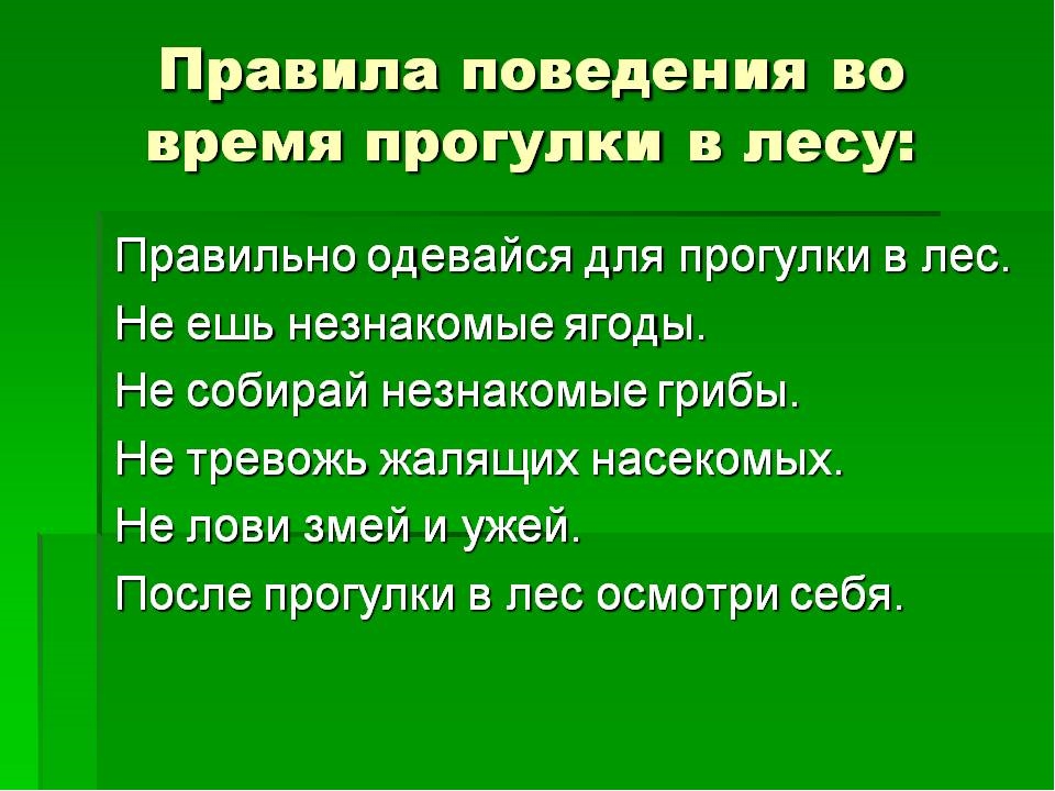 Правила поведения в лесу