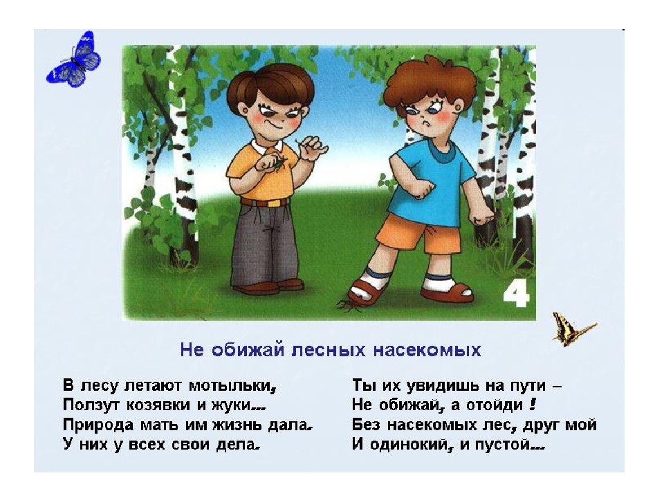 Правила поведения в лесу