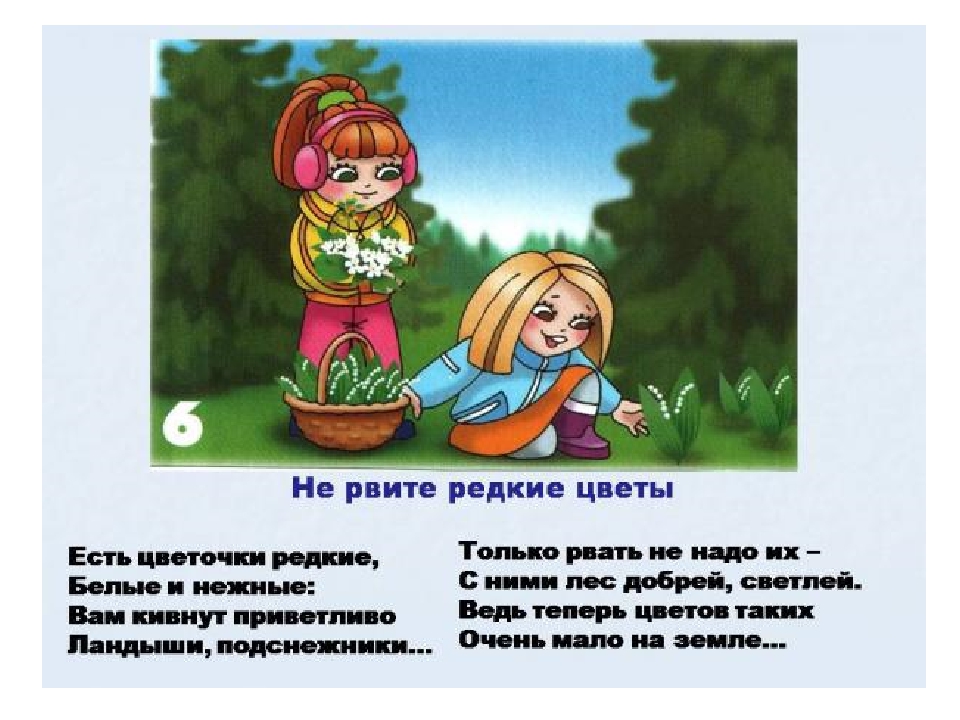 Правила поведения в лесу