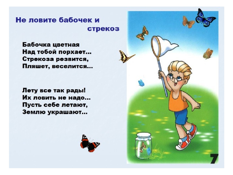 Правила поведения в лесу