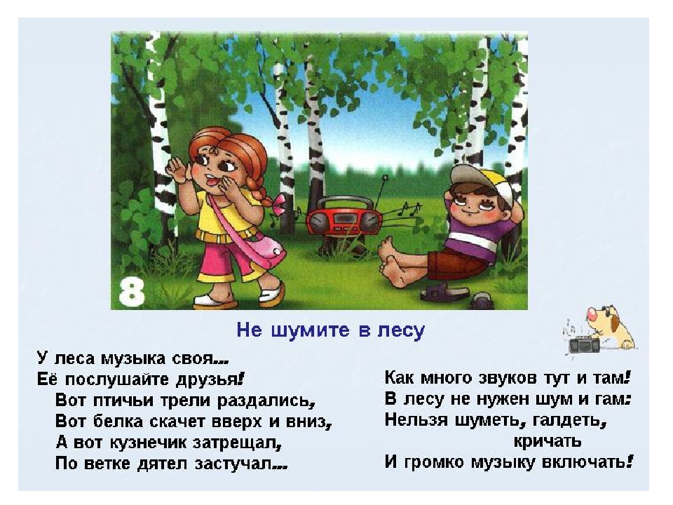 Правила поведения в лесу