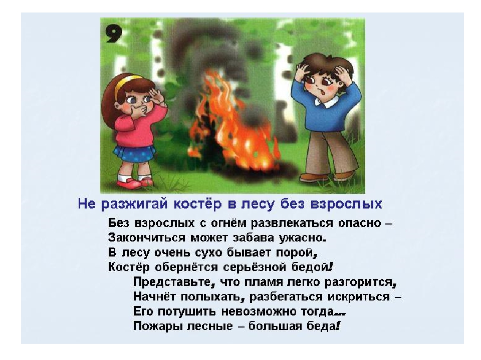 Правила поведения в лесу