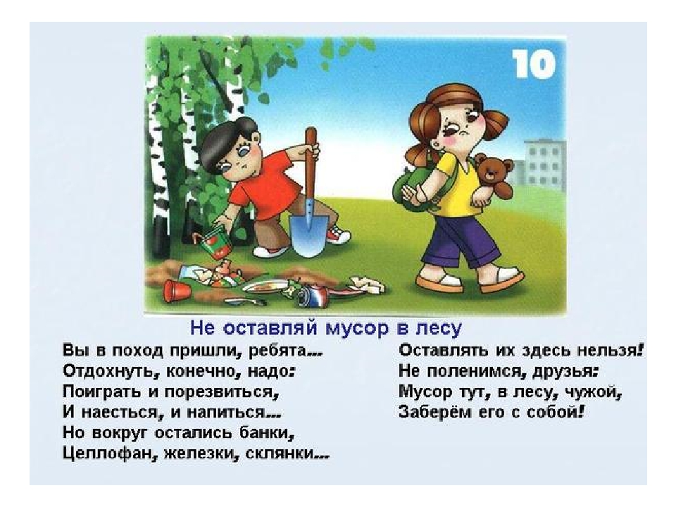 Правила поведения в лесу