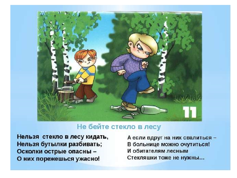 Правила поведения в лесу