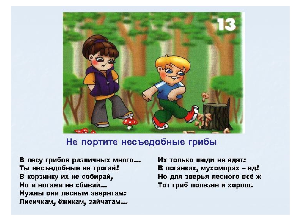 Правила поведения в лесу