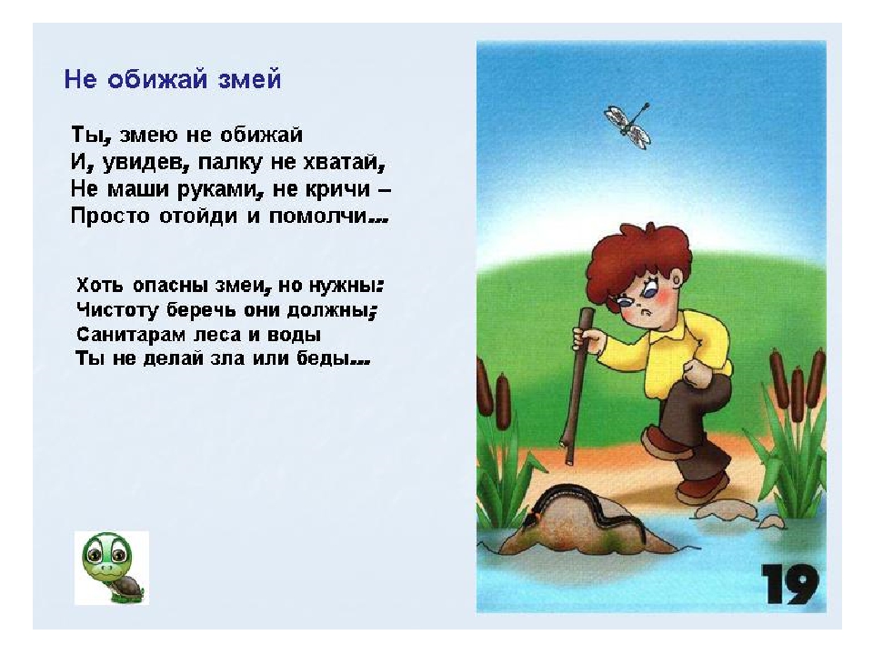 Правила поведения в лесу
