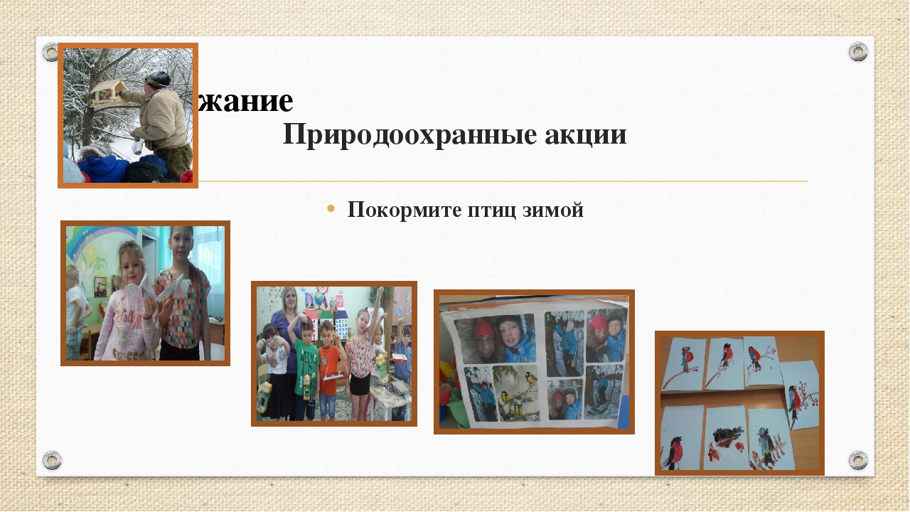 "Проектная деятельность с детьми дошкольного возраста" из опыта работы
